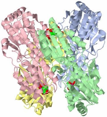 Image Asym./Biol. Unit