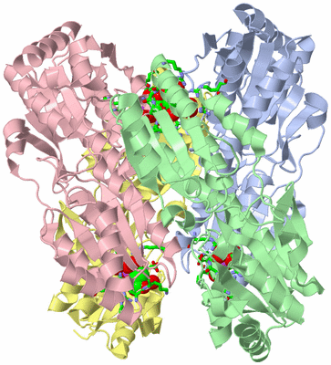 Image Asym./Biol. Unit - sites