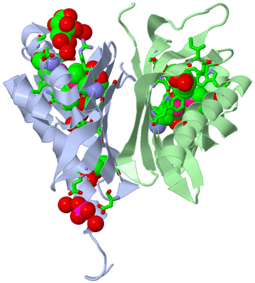 Image Asym./Biol. Unit - sites