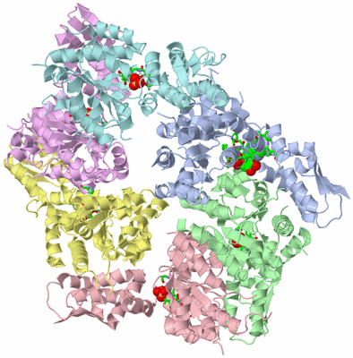 Image Asym./Biol. Unit - sites