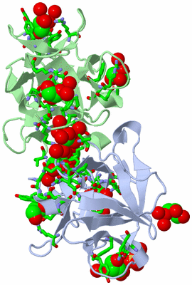 Image Biol. Unit 1 - sites