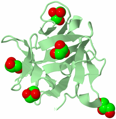 Image Biological Unit 3