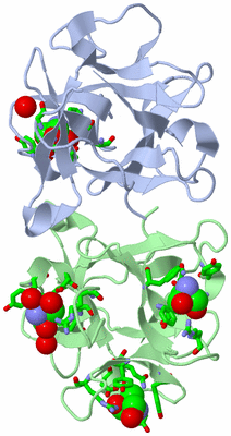 Image Biol. Unit 1 - sites