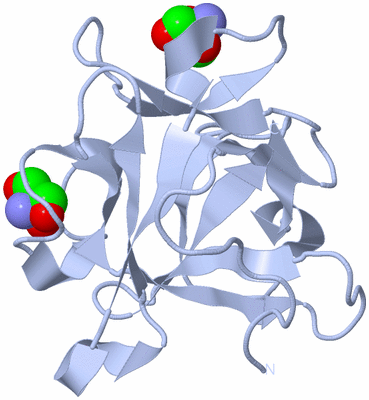 Image Biological Unit 3