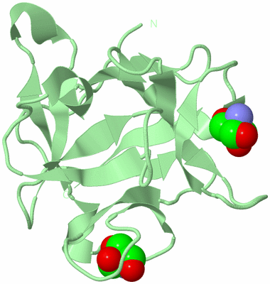 Image Biological Unit 4