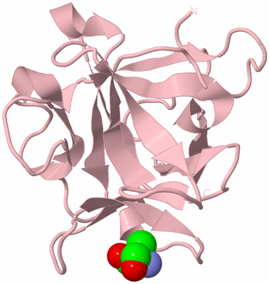 Image Biological Unit 5