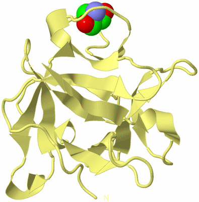 Image Biological Unit 6