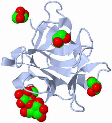 Image Biological Unit 3