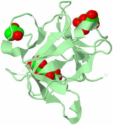 Image Biological Unit 4