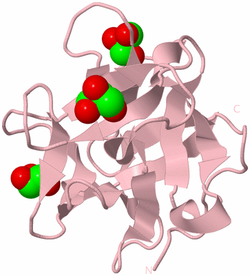 Image Biological Unit 5