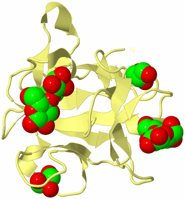 Image Biological Unit 6