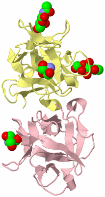 Image Biological Unit 2