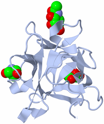 Image Biological Unit 3