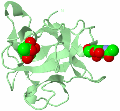 Image Biological Unit 4