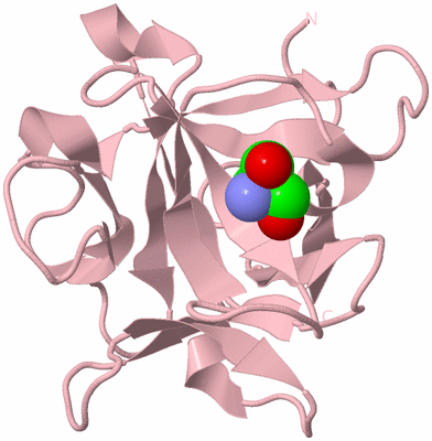 Image Biological Unit 5