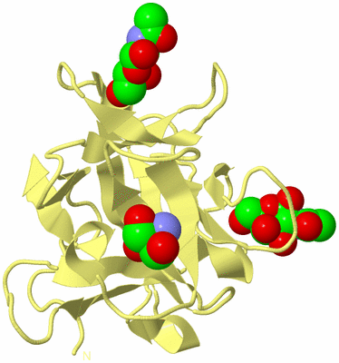 Image Biological Unit 6