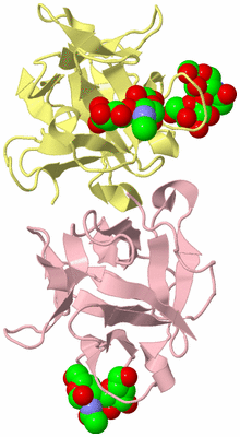 Image Biological Unit 2