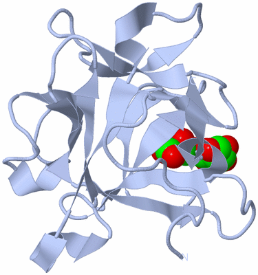 Image Biological Unit 3