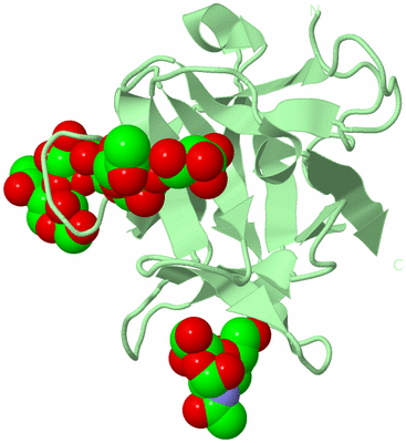 Image Biological Unit 4