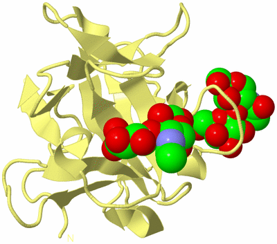 Image Biological Unit 6