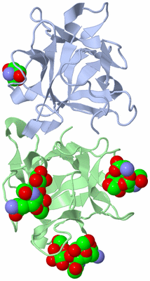 Image Biological Unit 1