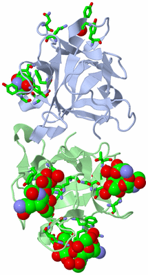 Image Biol. Unit 1 - sites