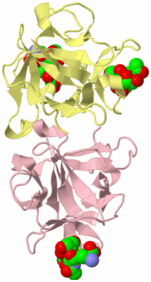 Image Biological Unit 2