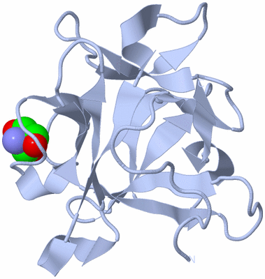 Image Biological Unit 3