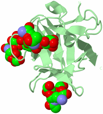 Image Biological Unit 4