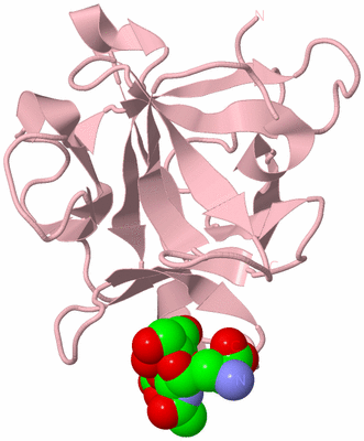 Image Biological Unit 5