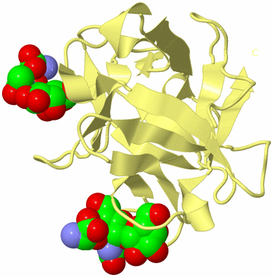 Image Biological Unit 6