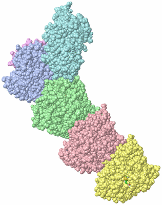 Image Asym./Biol. Unit