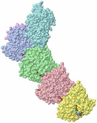 Image Asym./Biol. Unit - sites