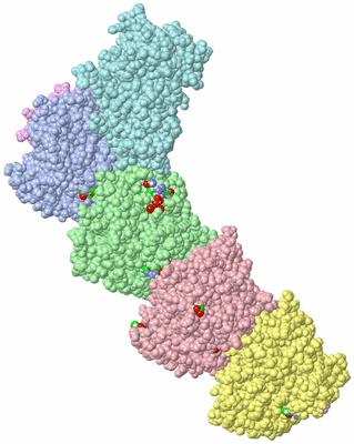 Image Asym./Biol. Unit - sites