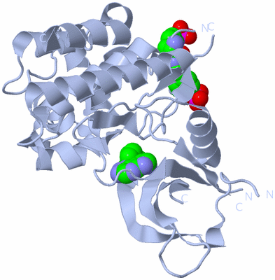 Image Biological Unit 1