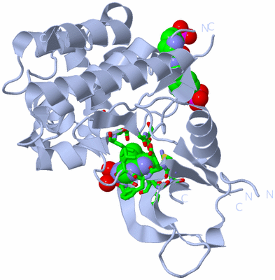 Image Biol. Unit 1 - sites