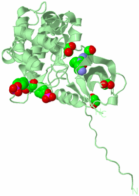 Image Biological Unit 2