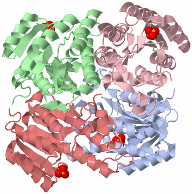 Image Biological Unit 1