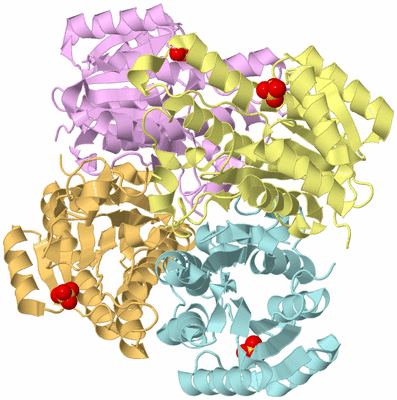 Image Biological Unit 2