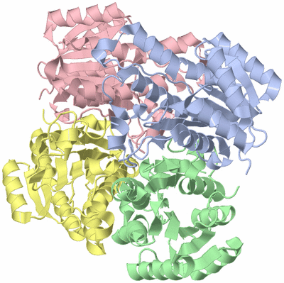 Image Biological Unit 1