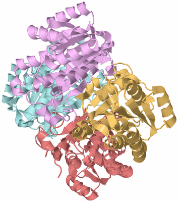 Image Biological Unit 2