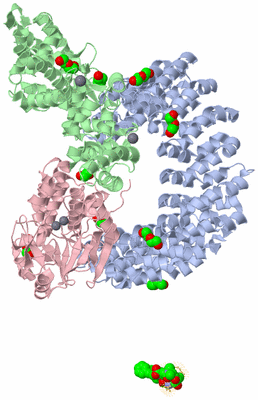 Image Biological Unit 1