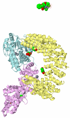 Image Biological Unit 2