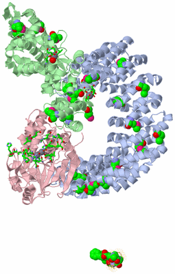 Image Biol. Unit 1 - sites