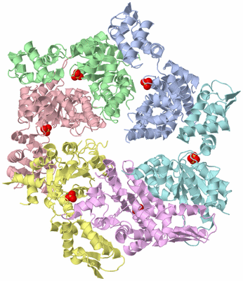 Image Asym./Biol. Unit