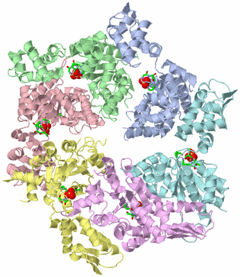 Image Asym./Biol. Unit - sites