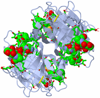 Image Biol. Unit 1 - sites