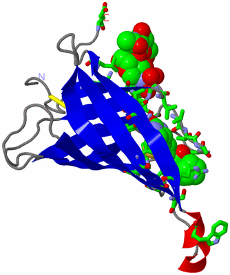 Image Asym. Unit - sites