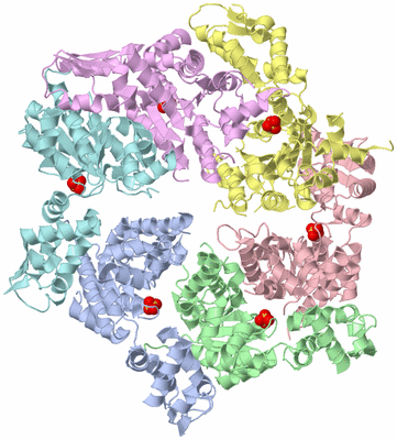 Image Asym./Biol. Unit