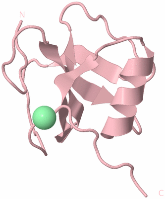 Image Biological Unit 3